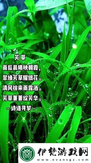 離離原上草