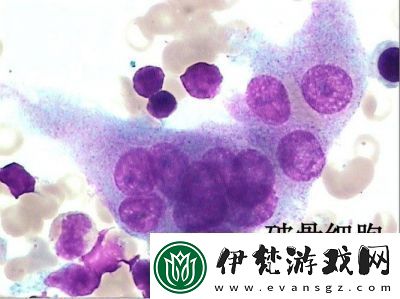 細胞變異圖譜指南