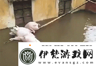 第一次穿高跟鞋的你