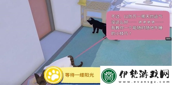 小貓咪大城市等待一縷陽光任務攻略