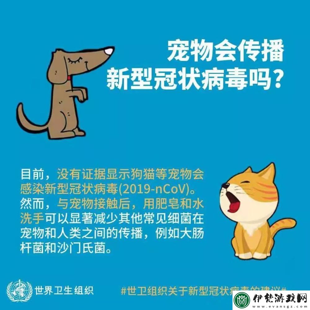 寵我一生課程選擇攻略