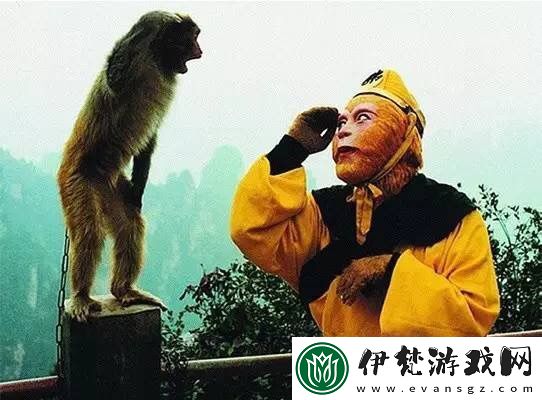 免費在線觀看八戒電影