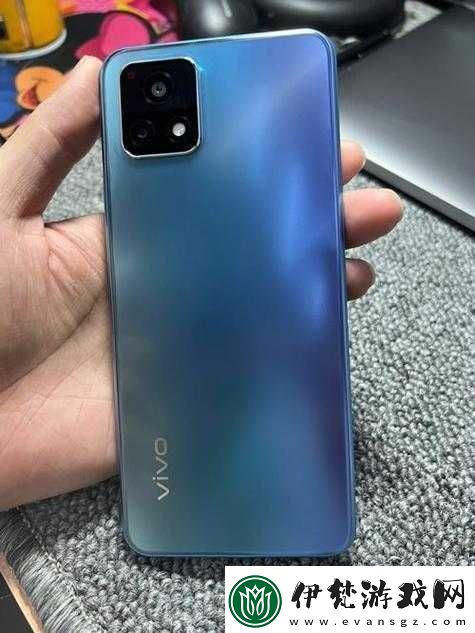 Y31成色鑒定