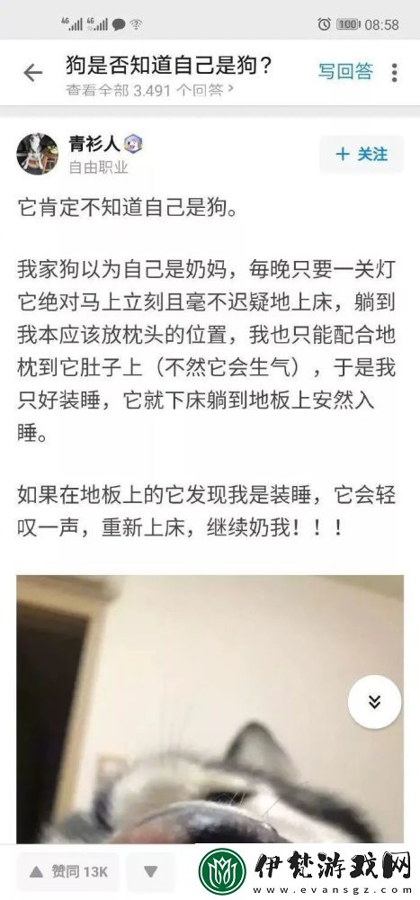 51吃瓜.world張津瑜