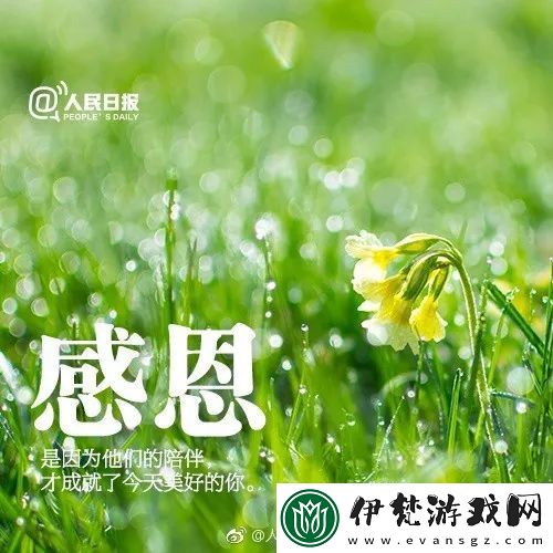 懂你的嫩葉草