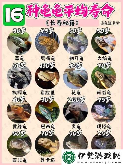 探索圖騰部落黃金版攻略秘籍