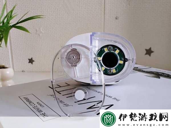 探索我的世界微觀世界最小生物排行大揭秘蠹蟲意外落榜