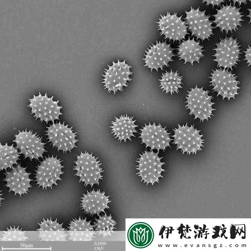 探索我的世界微觀世界最小生物排行大揭秘蠹蟲意外落榜