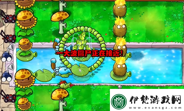 植物大戰僵尸雜交版第13關怎么過第13關通關圖文攻略