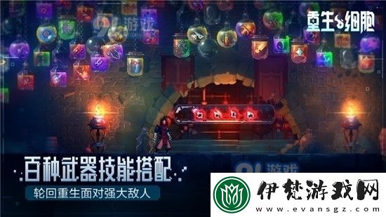 重生細胞撓撓使用技巧分享