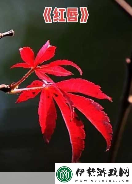 一處桃源千人品兩片紅唇萬客來
