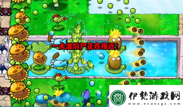 植物大戰僵尸雜交版第13關怎么過第13關通關圖文攻略