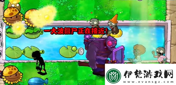 植物大戰僵尸雜交版第13關怎么過第13關通關圖文攻略
