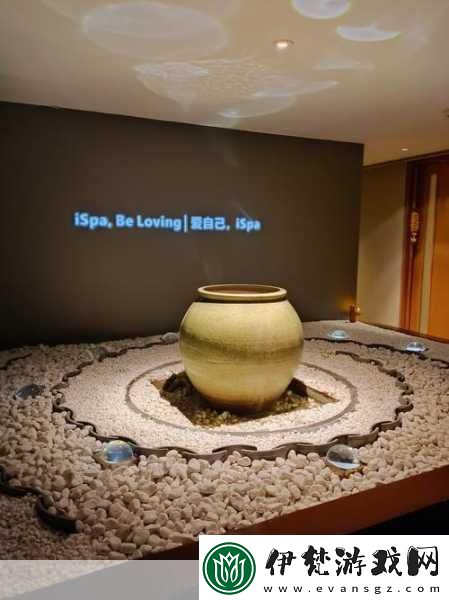 小貓咪大城市日常美容動作怎么獲得
