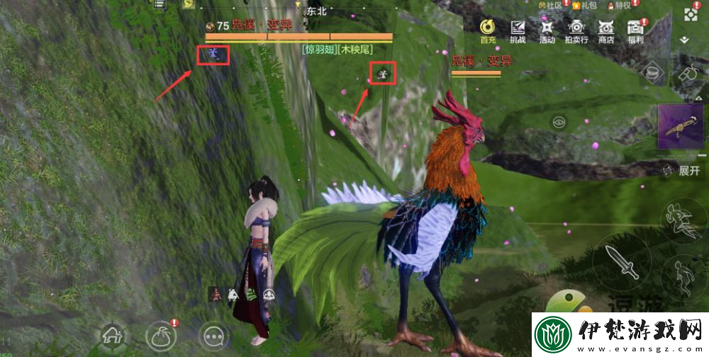 妄想山海青木攻擊的用途解析