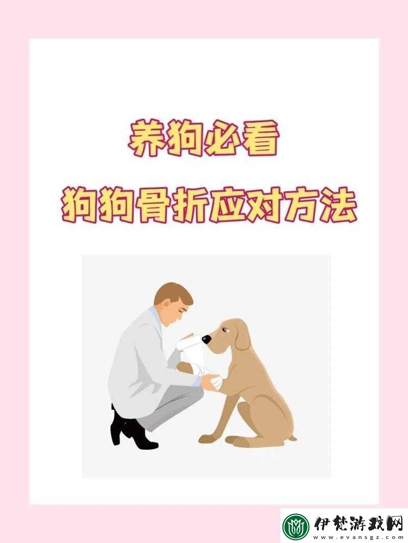 狗卡私處怎么辦