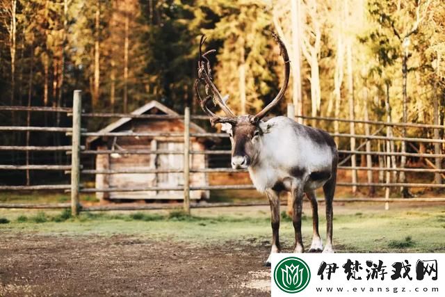 人與畜禽仙林蹤