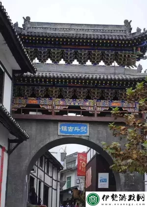 全面解讀