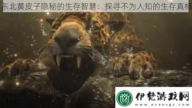 東北黃皮子隱秘的生存智慧