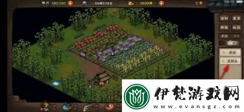 煙雨江湖五靈花怎么獲得