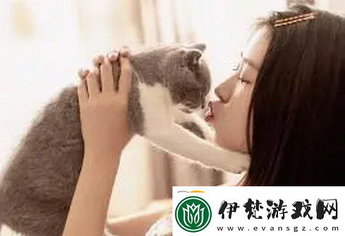 好看的韓國(guó)三色電費(fèi)