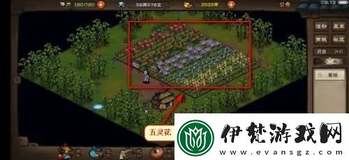 煙雨江湖五靈花怎么獲得