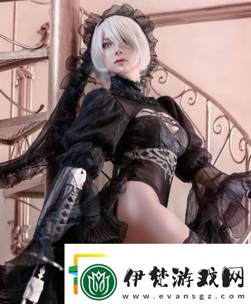 3D區(qū)的另一扛把子