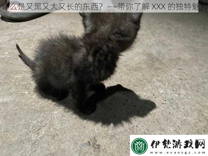 什么是又黑又大又長的東西——帶你了解XXX的獨特魅力