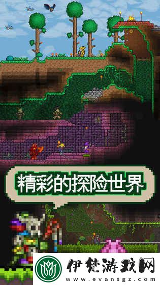 探索t66y地址1地址2地址3社區的獨特魅力與資源