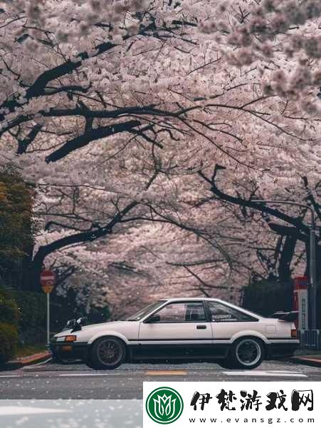 YSL千人千色AE86V