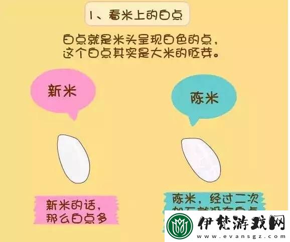 揭秘
