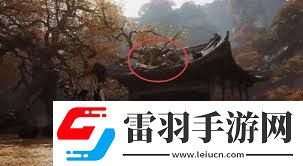 黑神話悟空毒敵大王在哪里