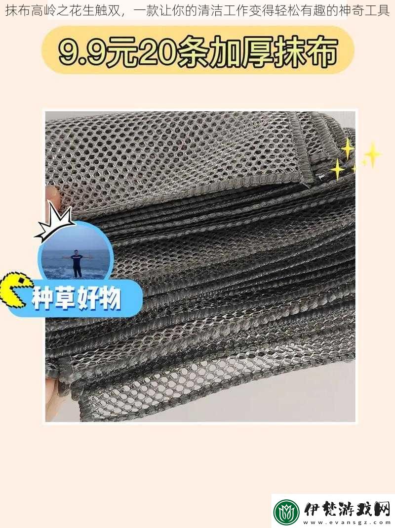 抹布高嶺之花生觸雙一款讓你的清潔工作變得輕松有趣的神奇工具