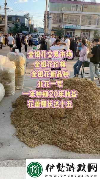 銀色器物TXL金銀花的材質(zhì)有何特點