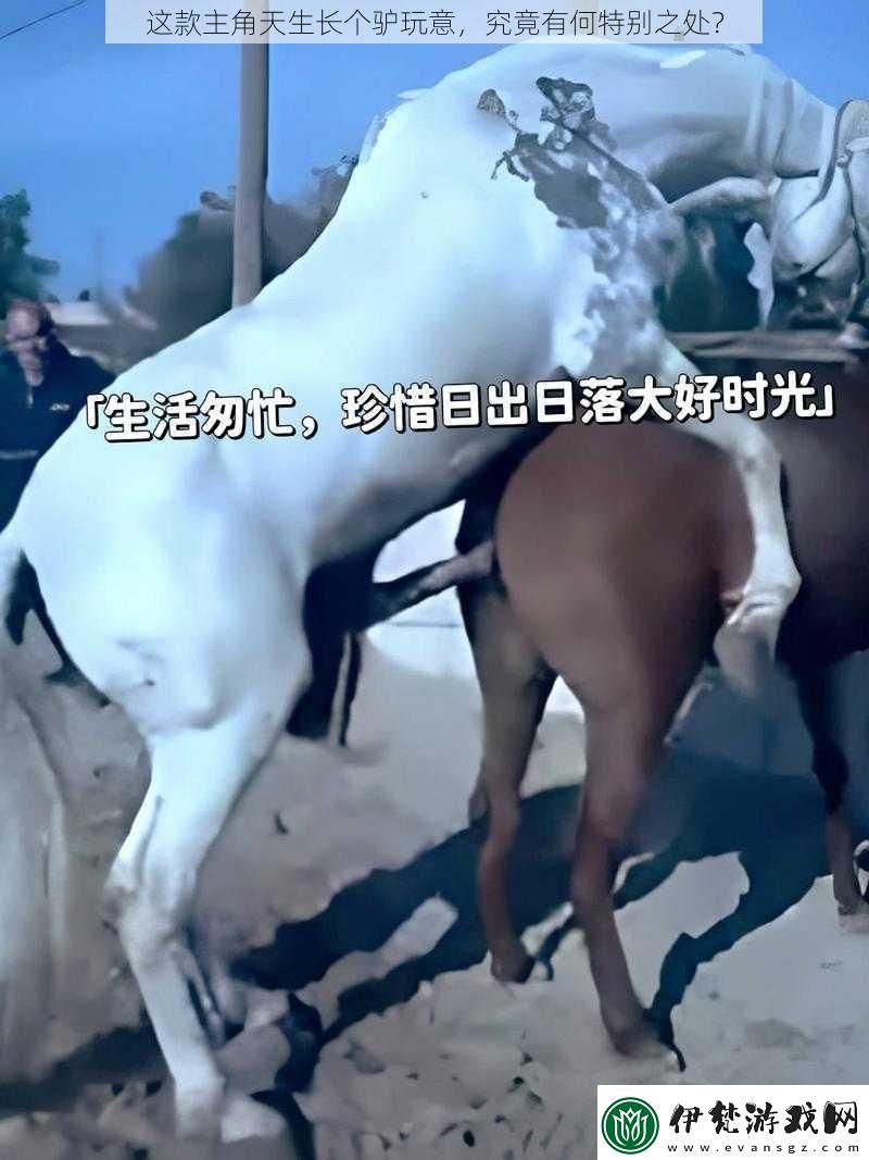 這款主角天生長個驢玩意究竟有何特別之處
