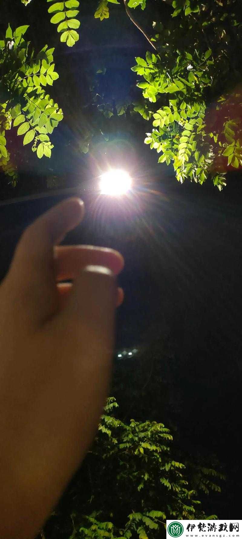 暗夜在線使用