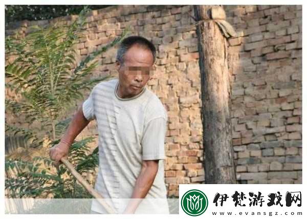 農村家庭關系大亂燉的原因