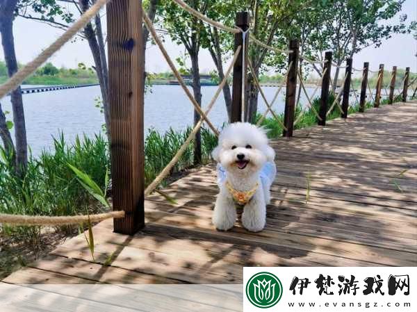 小熊模擬器
