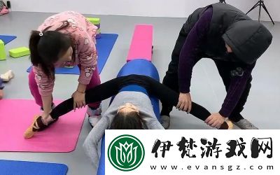 全新發布
