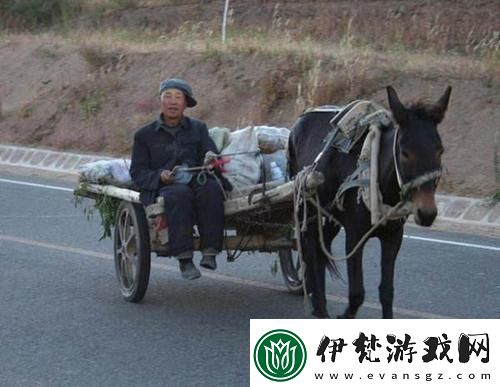 傻大壯驢事非凡