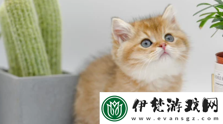 小它寵物社交平臺下載