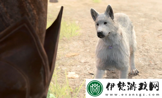 博德之門3撓撓怎么馴服