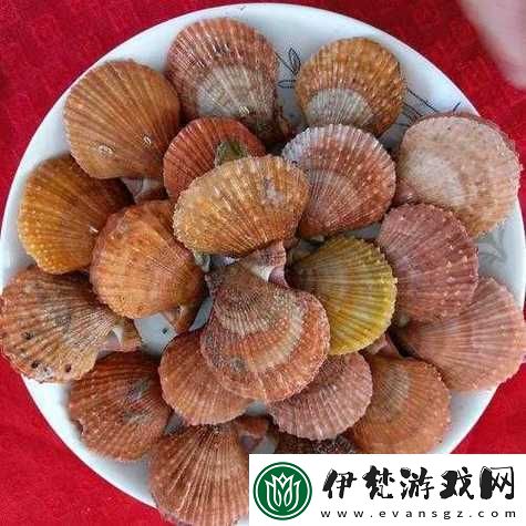 這是我的小扇貝好看嗎