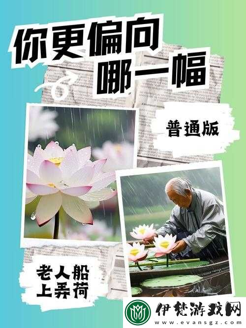 獨賞雨荷
