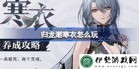 歸龍潮寒衣怎么玩