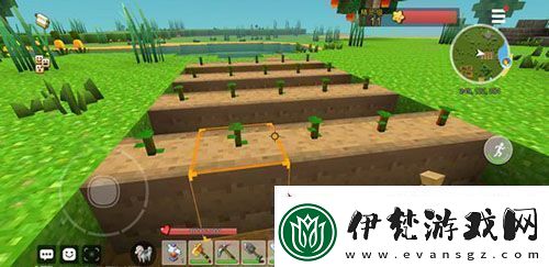 手工星球怎么種植開(kāi)墾荒地種植方法介紹