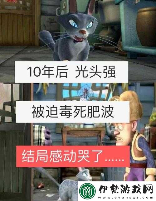 大肥波