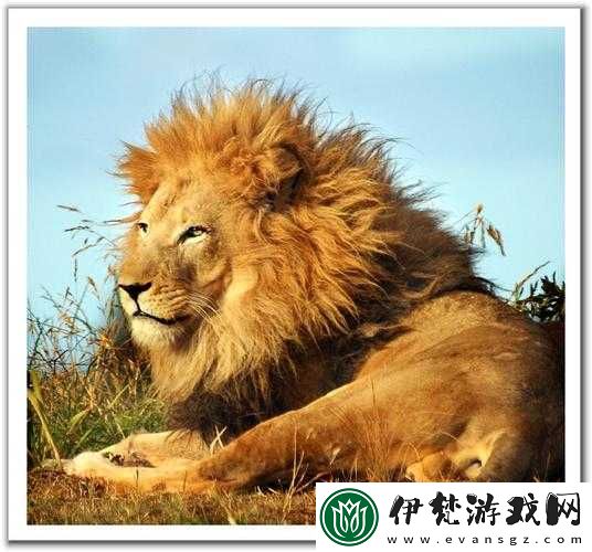 美國