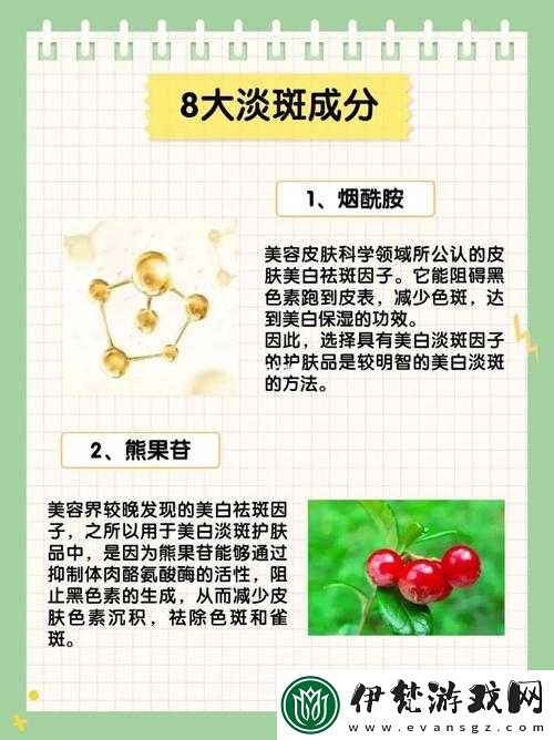 揭秘日本