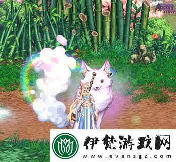 DNF戰令龍袍選擇指南及推薦